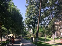 -四川大学(望江校区)