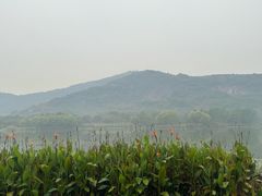 -长广溪湿地公园