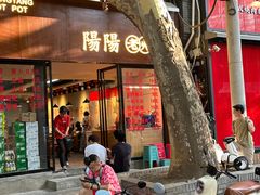 -阳阳老火锅(小南门店)
