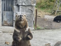 -哈尔滨北方森林动物园