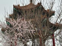 -白水寺森林公园