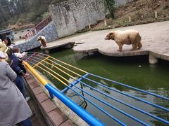 -贵州森林野生动物园