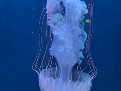 -欢乐海岸海洋奇梦馆