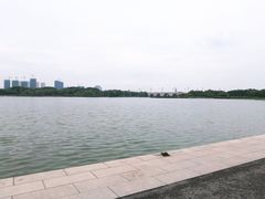 -尚贤河湿地