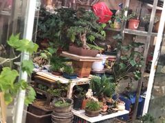 -无锡文化工艺品市场(槐古路店)