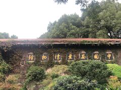 -中国茶叶博物馆(双峰馆区)