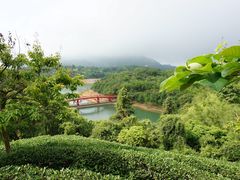 -东部华侨城