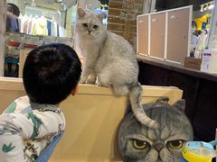 -小时光咖啡馆(开森度假森林店)