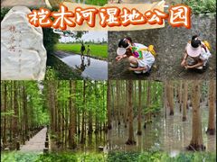 -桤木河湿地公园