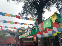 -西安市广仁寺