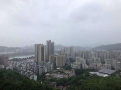 -福道