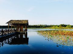 -溱湖国家湿地公园