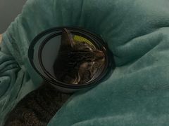 -爱侣宠医·鹦鹉专科·小型哺乳类·异宠专科(灵石路店)