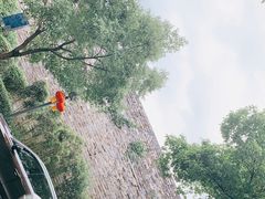 -南京城墙景区