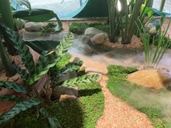 -相遇·鲜炒黄牛肉(丹阳吾悦广场店)