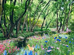 -上海共青森林公园