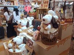 -岭南站NOVA