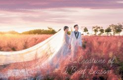 -索菲亚摄影会所