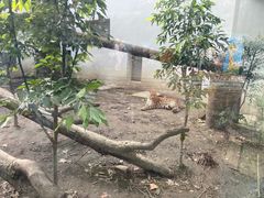 -成都动物园