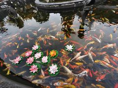 -上海东林寺(金山区)