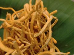 -木王宴语·野生鲜菌火锅(玉河店)