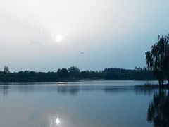 -东郊湿地公园