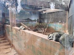 -昆明动物园