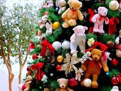 -济州岛泰迪熊博物馆