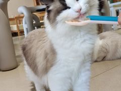 -藏猫猫咖啡主题馆(中央大道店)