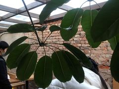 -VOYAGE COFFEE(北锣鼓巷店)