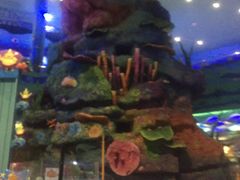 -青岛嘉年华主题乐园