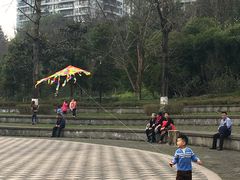 -重庆彩云湖湿地公园