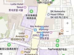 -乐天免税店(明洞店)