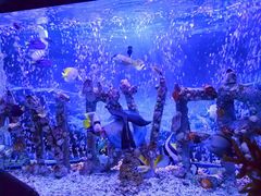 -太平洋海底世界