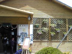 -昆山城市生态森林公园