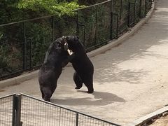 -大连森林动物园