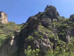 -大岭沟猕猴桃谷风景区