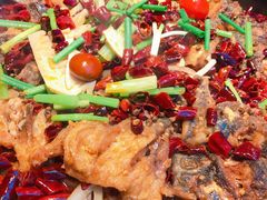 -老板恋上鱼(恒隆广场店)