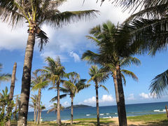 -后海村