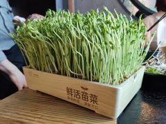 -湊湊火锅·茶憩(上海合生汇店)