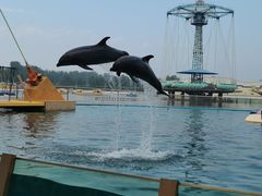 -秦皇岛乐岛海洋王国