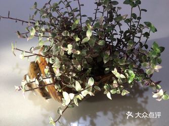 在这个悠闲宁静阳光微暖的午后，忙里偷闲泡着一杯咖啡