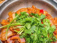 -禄婶鸡煲·打边炉