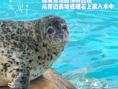 -海合安成都极地海洋公园
