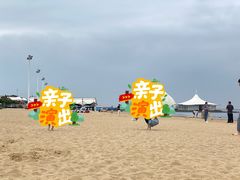 -碧海金沙