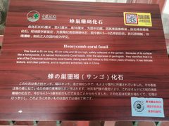 -莲池书院博物馆