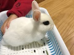 -藦茜花园宠物主题亲子互动体验馆(国顺东路店)