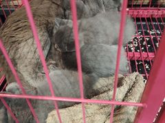 -第三空间·趣味桌游·轰趴.室内CS.剧本杀(大武汉1911店)