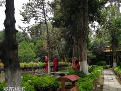 -罗布林卡