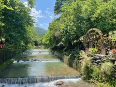 -广州白江湖森林公园